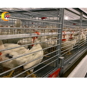 Tedarikçi doğrudan satış Pullet yetiştiriciliği katmanlı yumurta tavuk kafesi Brooder kafes bebek döşeme tavuk tavuk için - Product Image 2