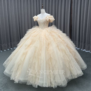 Robe de bal élégante avec appliques en champagne, broderie, perles, paillettes, taille naturelle, longueur au sol, couleur bonbon, fête, Quinceañera - Product Image 4