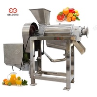 Gelgoog Koudgeperste Litchi Lychee Sapmachine Commerciële Kersen Baobab Amla Sapmachine