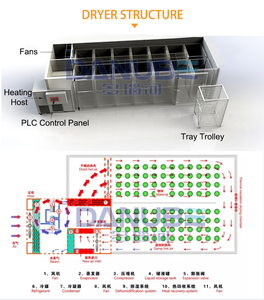 Good Quality Widely Applicable Vegetable Fruit Herb Spice Meat Food Dryer Dehydrator Drying Machine - Product Image 3