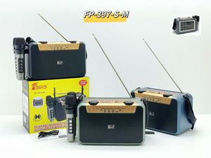 Radio portable solaire FP-397-S-<span class=keywords><strong>M</strong></span> avec double microphone karaoké, haut-parleur Bluetooth, radio 4 bandes AM/FM/SW1-2 et double éclairage LED rechargeable - Product Image 1
