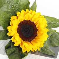 Natuurlijke verse boeket zonnebloemen, snijbloemen, prijzen, beste kwaliteit, decoratieve bloemen, lang houdbaar