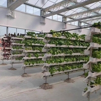 Système hydroponique NFT de plantation en serre agricole en gros, système vertical multicouche d'intérieur, pompe d'irrigation automatique stable