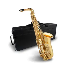 Alto <span class=keywords><strong>Eb</strong></span> Tune Saxofón Latón Laca Dorada Sax Con Estuche Boquilla 2,5 Saxofón Alto Cañas Correa de Corcho Cepillo Guantes Estuche - Product Image 5