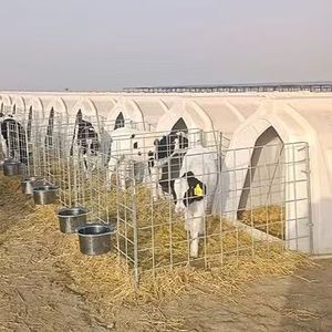 Huche en plastique durable pour vache et veau de ferme de bétail laitier d'extérieur - Product Image 1