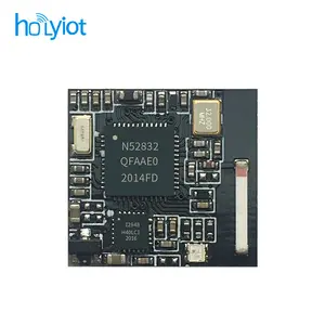 Holyiot kabellose Kommunikation nRF52832 Low Power 2,4 GHz Sig-Mesh-Netzwerk-Gateway Bluetooth-Modul mit Keramikantenne