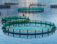 Chine Cage de pisciculture HDPE durable de haute qualité ferme aquacole flottante pour la pisciculture dans le lac ou la mer