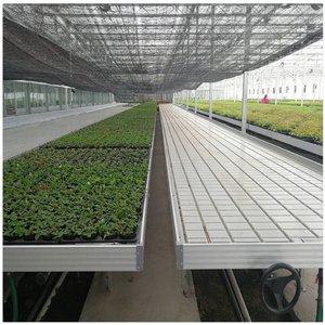 Sistemas de Cultivo Hidropónico, Mesa de Cultivo con Sistema de Flujo y Reflujo para Invernadero, Compre Sistemas de Cultivo Hidropónico con Mesa de Cultivo de Flujo y Reflujo - Product Image 6