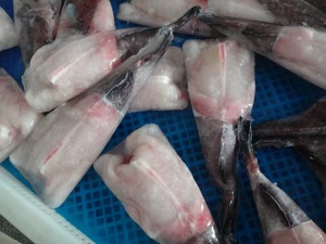 Cola de Monja Congelada de Buena Calidad a <span class=keywords><strong>Precio</strong></span> Económico - Product Image 3