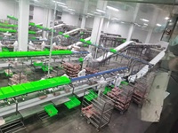 Équipement d'abattage de bovins et ovins, ligne de transformation de la viande, machine de découpe et de désossage, pompe, moteur, roulement, acier inoxydable, électrique