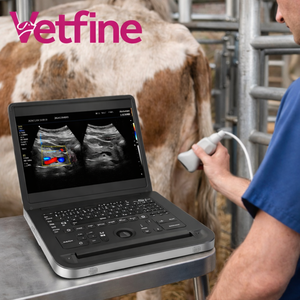 Veterinaire echografie scanner 15,<span class=keywords><strong>6</strong></span> inch kleuren Doppler 3D echografie apparaat echografie systeem prijs - Product Image 1