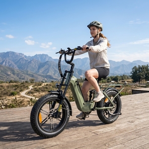 Bicicleta Eléctrica de 20'' con Llantas Anchas para Desplazamientos, 7 Velocidades, Suspensión Completa y Sensor de Torque, en Oferta - Product Image 4
