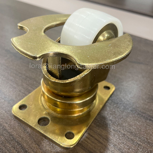 Roues en nylon <span class=keywords><strong>de</strong></span> 70mm <span class=keywords><strong>de</strong></span> diamètre Roulettes universelles <span class=keywords><strong>de</strong></span> fret aérien pour la logistique aéroportuaire Manipulant des roulettes <span class=keywords><strong>de</strong></span> <span class=keywords><strong>transport</strong></span> pivotantes - Product Image 3