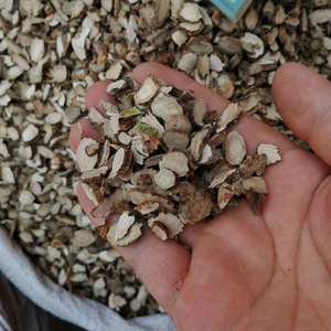 Raiz de Acorus <span class=keywords><strong>Calamus</strong></span> Seco Shui Chang Pu à Venda - Product Image 3