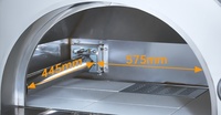 Four à pizza italien en acier inoxydable pour l'extérieur, four à charbon de bois pour rôtir et griller