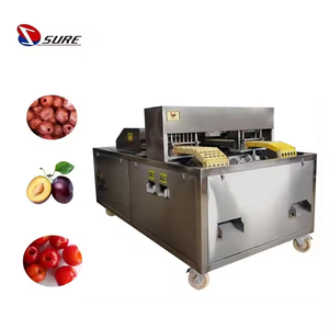 Machine de dénoyautage automatique professionnelle de vente chaude Machine de dénoyautage de dénoyautage de noyau d'olive Machine de retrait de pierre de fruit - Product Image 1