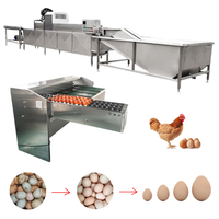 Laveuse et trieuse d'œufs en acier inoxydable pour volailles, canards, poulets, machine de lavage et de tri des coquilles d'œufs