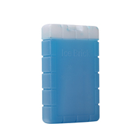 Briques de glace réutilisables Transport Refroidissement de la glace Gel Pack Glacière brique Briques de glace