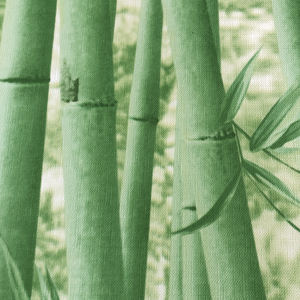 <span class=keywords><strong>Papier</strong></span> <span class=keywords><strong>peint</strong></span> mural 3d motif <span class=keywords><strong>Jungle</strong></span>, tapisserie <span class=keywords><strong>Jungle</strong></span>, forêt, nouveau modèle, étoffe japonaise - Product Image 5