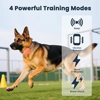 ODM/OEM Wiederaufladbares Wasserdichtes Hunde-Erziehungshalsband mit 4 Trainingsmodi 2600FT Fernbedienung für 2,3-54 kg Hunde IPX7