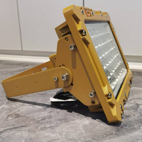 Lampes de sécurité extérieures pour lampe LED anti-explosion 200W, projecteur LED 50W 150W avec indice de protection IP66, garantie 5 ans
