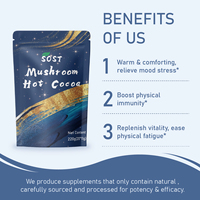 Boisson nutritive personnalisable de marque privée Sost, chocolat chaud aux champignons de qualité supérieure