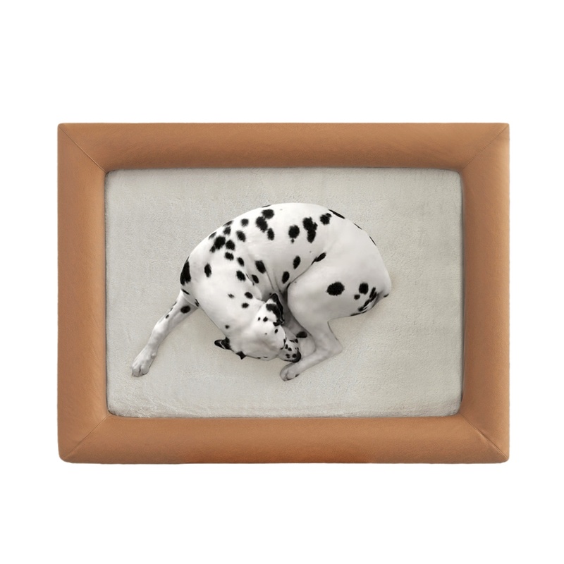 Orthopedic Memory Foam Large Dog Bed