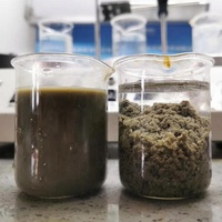 Poliacrilamida (APAM) en Polvo de Alta Pureza (99%), de Peso Molecular Alto y Alta Densidad de Carga, Producto Químico Inofensivo de Fábrica China para Lavado de Arena