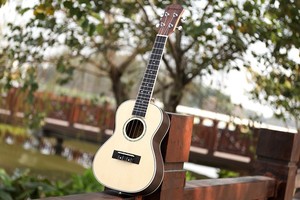 Ukulele de concert 24 pouces et ukulele ténor 26 pouces à prix d'usine, avec table en épicéa massif et dos en palissandre, pour enfant, modèle Caesar US-C40 - Product Image 3