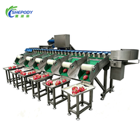 Shepody Automatische Fruit Sorteermachine voor pruimen en pomelo, hoge snelheid, SUS304 fruit- en groentesorteermachine