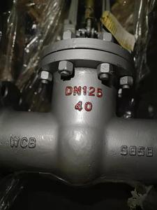 Gost tiêu chuẩn đúc thép ASTM A216-WCB mặt bích Van cổng PN16, DN100 - Product Image 3