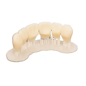 LEYI Teeth that can be temporarily used 3D resin printing molding 405nm LCD/DLP