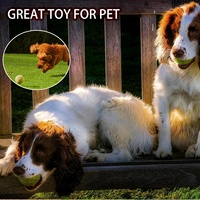 Jouet pour chien WALD en caoutchouc durable et coloré, respectueux de l'environnement, avec sifflet, pour l'entraînement au tennis des chiens