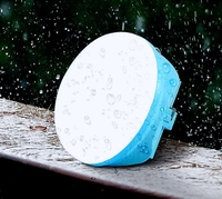 Lampe solaire à LED TSINYE, rechargeable, lampe d'urgence extérieure, ampoules solaires rechargeables avec panneau, lampe de camping