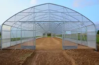 Serre agricole professionnelle en polycarbonate de 8 mm pour la culture, fabriquée par des professionnels