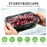 Barquette rectangulaire jetable en PET noir avec nervures verticales pour cerises, raisins, myrtilles, fraises – Vente au détail et en gros