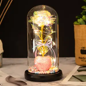 Fête des Mères Fleurs d'Œillets Dôme Acrylique Artificiel Tournesol pour Toujours Rose en Verre Dôme avec Lumières Led