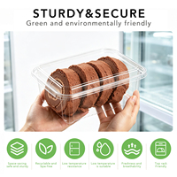 Transparante PET clamshell verpakking voor bakkerij, sandwiches, croissants, sushi, supermarkt presentatie, groothandel, op maat gemaakte OEM