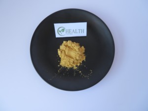 Scutellaria Extract Factory Price China Erva Baiical <span class=keywords><strong>Skullcap</strong></span> Raiz/Scutellaria Baicalensis Raiz Extract Para A Saúde - Product Image 5