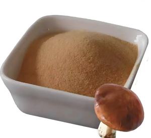 Nhà cung cấp khô nấm <span class=keywords><strong>Shiitake</strong></span> bột nguyên polysaccharides 10%-50% 10:1 tự nhiên 20:1 nấm <span class=keywords><strong>Shiitake</strong></span> nấm chiết xuất - Product Image 6