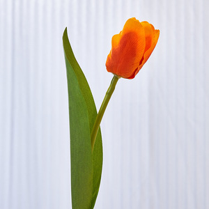 Fleurs artificielles tulipe sensation hydratante maison mariage décoration fleurs artificielles photographie fleurs en plastique - Product Image 4