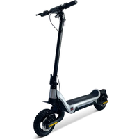Trottinette Électrique 800W en Promotion, Cadre en Alliage d'Aluminium, Trottinette Pliante à Deux Roues