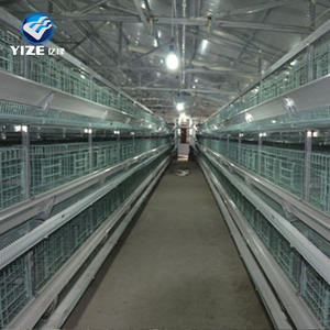 La migliore vendita mangiatoie automatiche layer galline batteria allevamento di polli posa gabbia per uccelli per attrezzature per l'allevamento di animali a strati - Product Image 2