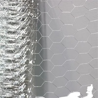 Grillage hexagonal galvanisé à chaud pour clôture de volailles, gabion et protection des pentes
