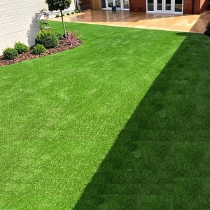 Césped <span class=keywords><strong>Artificial</strong></span> JS, Césped Vertical para Jardín, Césped Sintético para Paisajismo, Alfombra de Césped para Jardín - Product Image 6