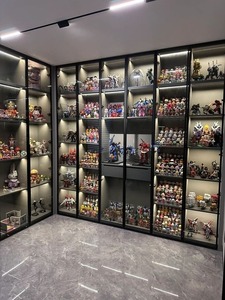 ארון תצוגה עם מסגרת אלומיניום, תאורת לד, זכוכית, מדפים מתכווננים ואביזרים. - Product Image 3