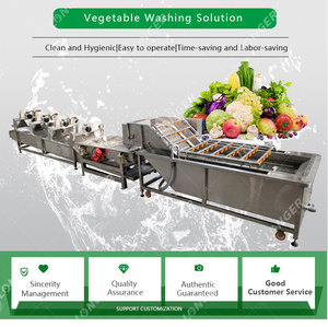 Machine industrielle <span class=keywords><strong>de</strong></span> lavage <span class=keywords><strong>de</strong></span> <span class=keywords><strong>tomates</strong></span>/pommes  Prix du lave-fruits - Product Image 6