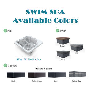 Le Nouvel Acrylique Balboa Contrôle Bulle Massage Hottub Outdoor Swim <span class=keywords><strong>Spa</strong></span> Endless Pool American <span class=keywords><strong>whirlpool</strong></span> Swim <span class=keywords><strong>Spa</strong></span> - Product Image 3