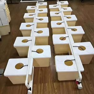 Équipement hydroponique Kit d'irrigation Pot <span class=keywords><strong>de</strong></span> plantation Système <span class=keywords><strong>de</strong></span> seau hollandais Bato pour la culture <span class=keywords><strong>de</strong></span> la tomate du concombre du poivron - Product Image 1