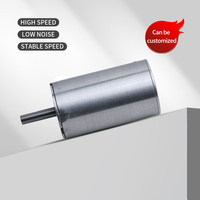 Prix d'usine personnalisable Micro moteur sans balais 7000 tr/min 15W Micro moteur à haute efficacité Micro moteur à courant continu